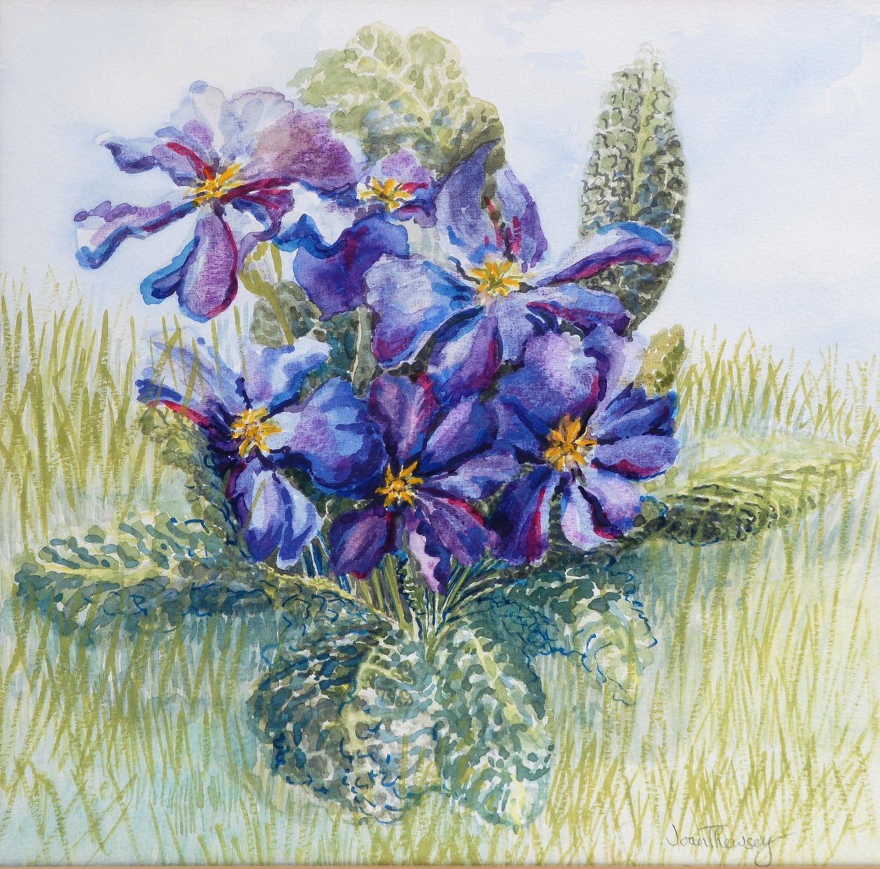 De Mauve Primula 2000 door Joan Thewsey