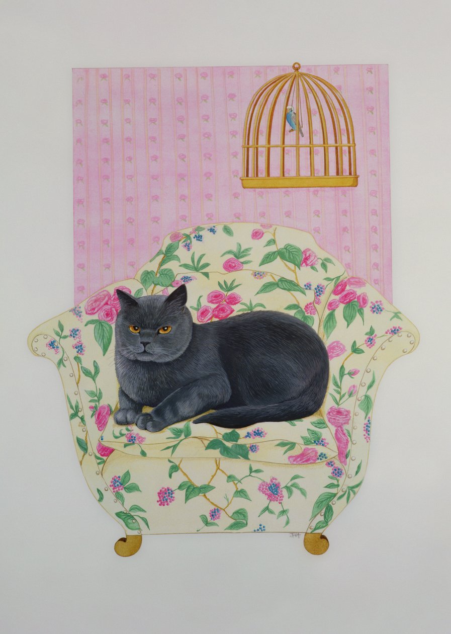Britse Blauwe door Joan Freestone