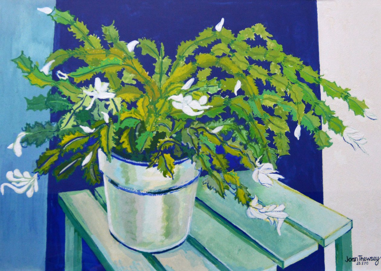 Kerstcactus door Joan Thewsey