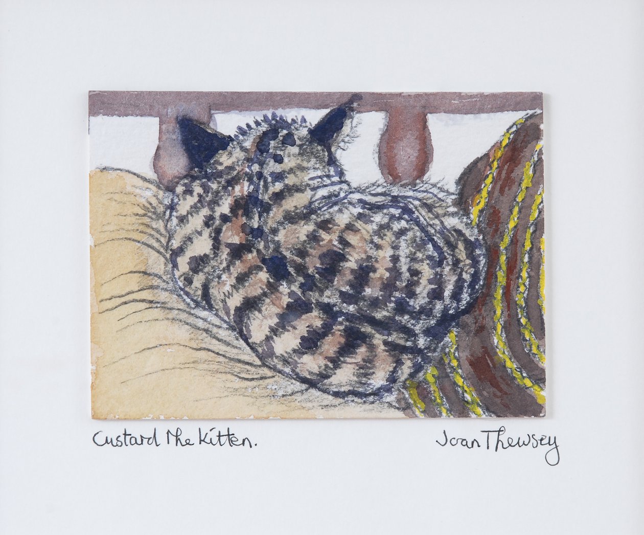Custard het kitten door Joan Thewsey