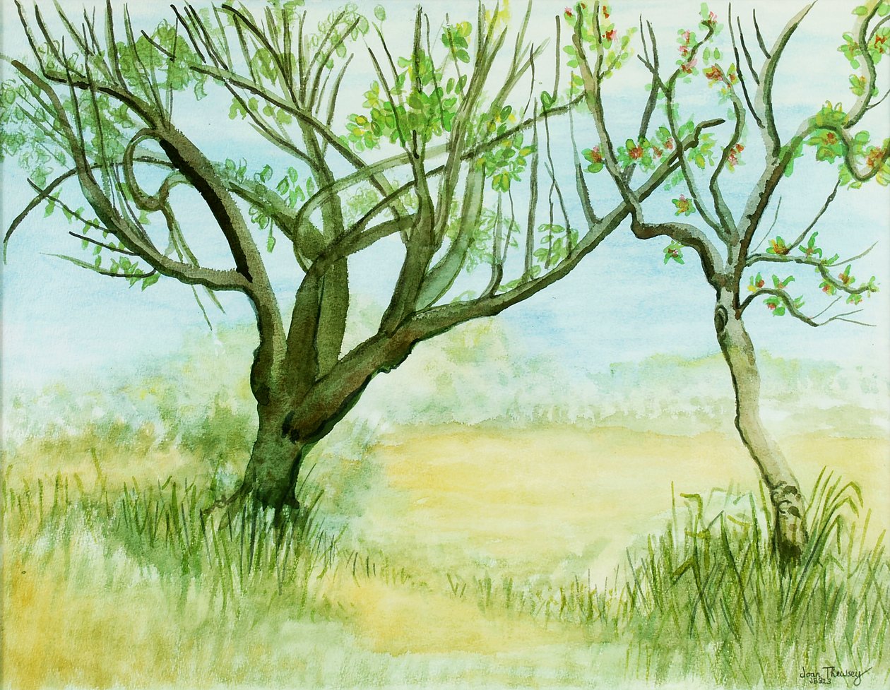 Vroeg Voorjaarslandschap, met twee bomen door Joan Thewsey