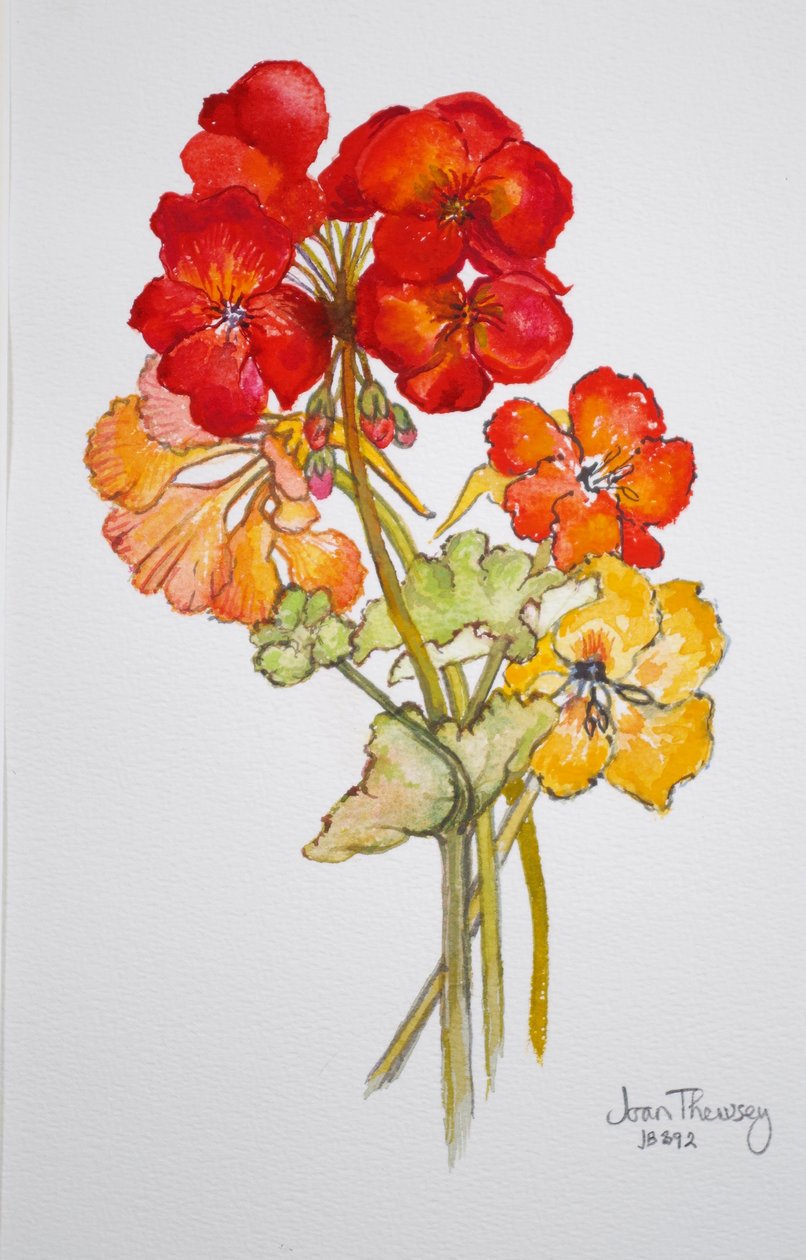 Geranium en Oost-Indische kers, 2014 door Joan Thewsey