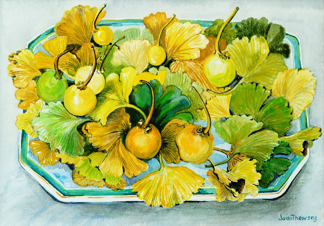 Ginkgo, fruit en bladeren door Joan Thewsey