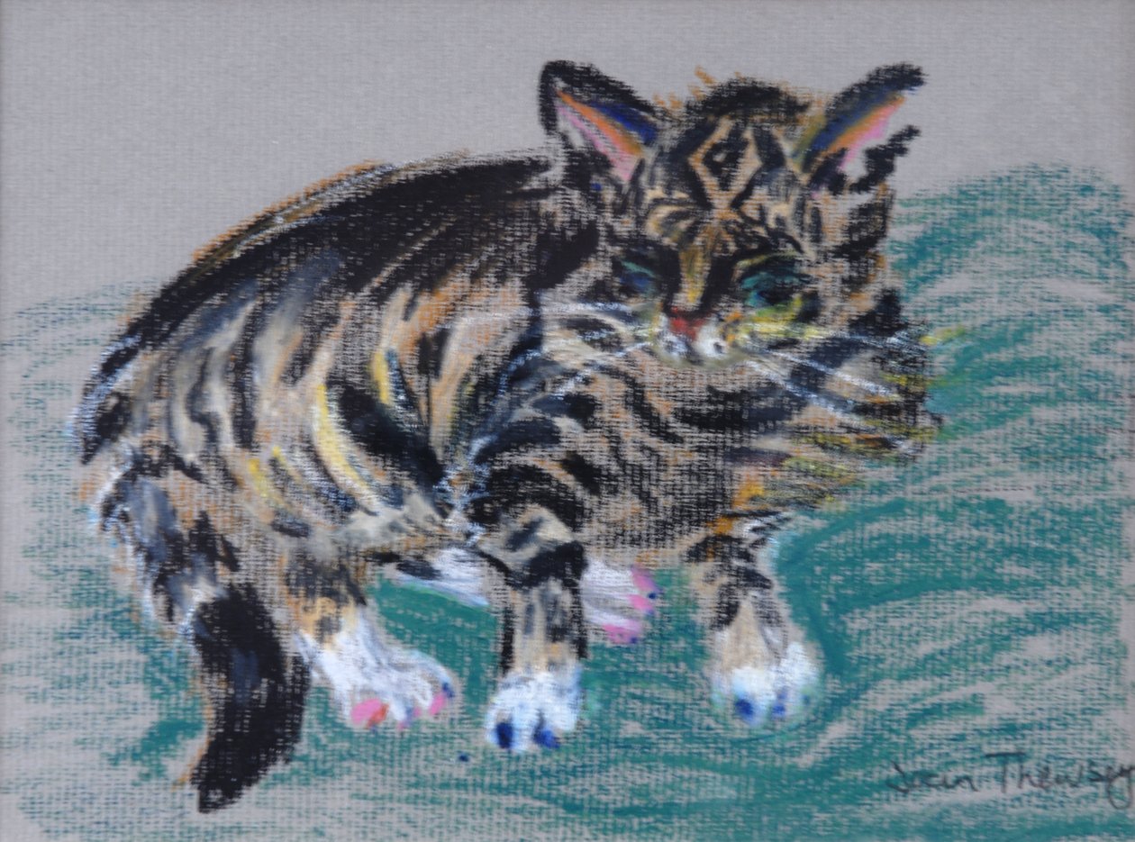 Cyperse Kat, 2005 door Joan Thewsey