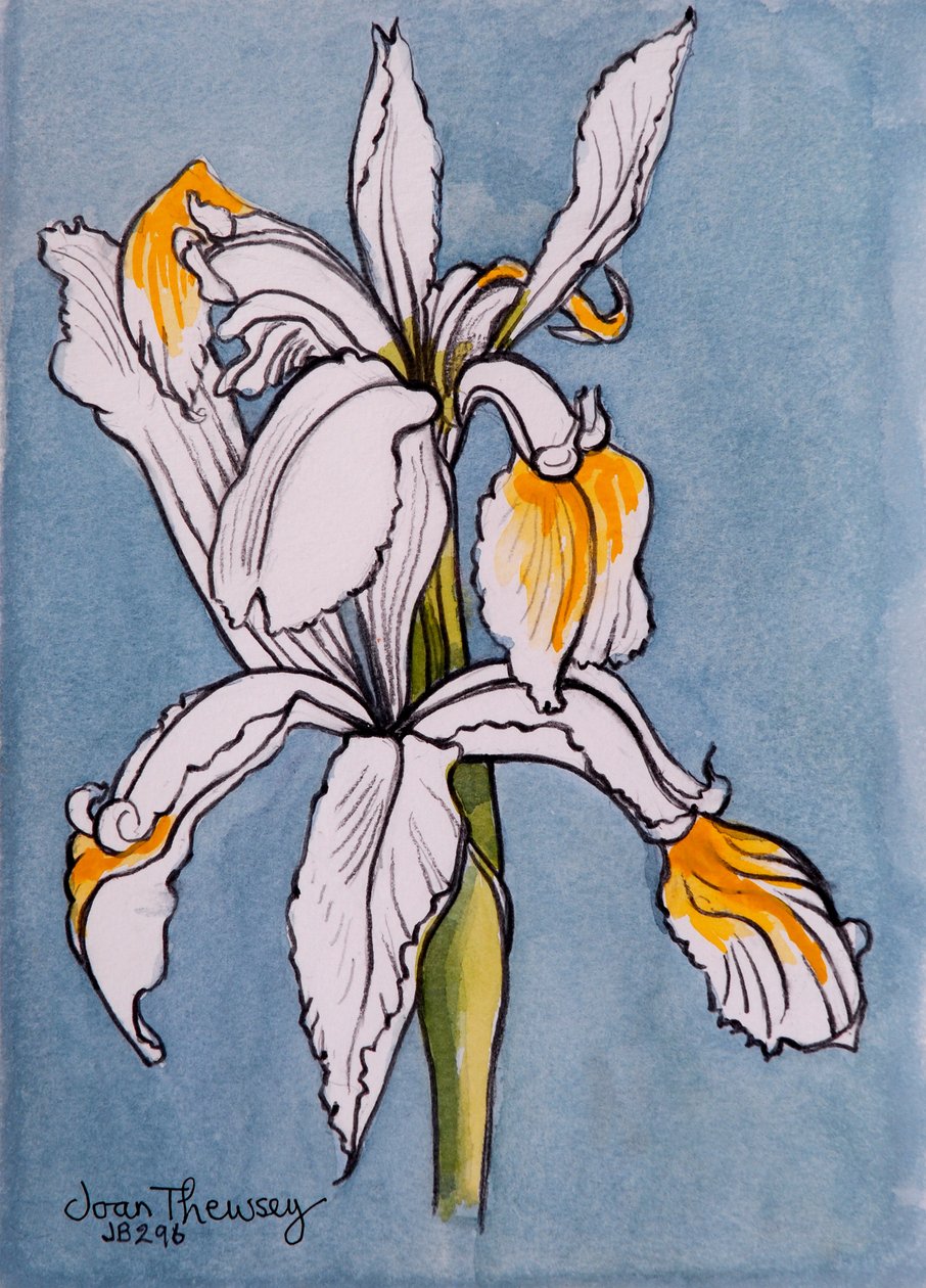 Twee Irissen door Joan Thewsey