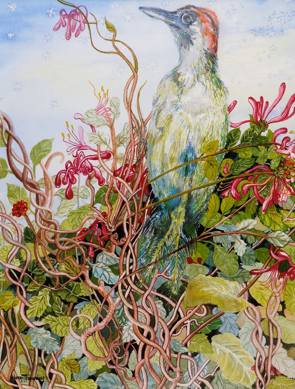 Specht in de kamperfoelie, 2010 door Joan Thewsey