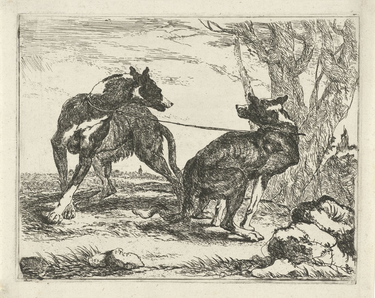Twee honden door Joannes Fijt