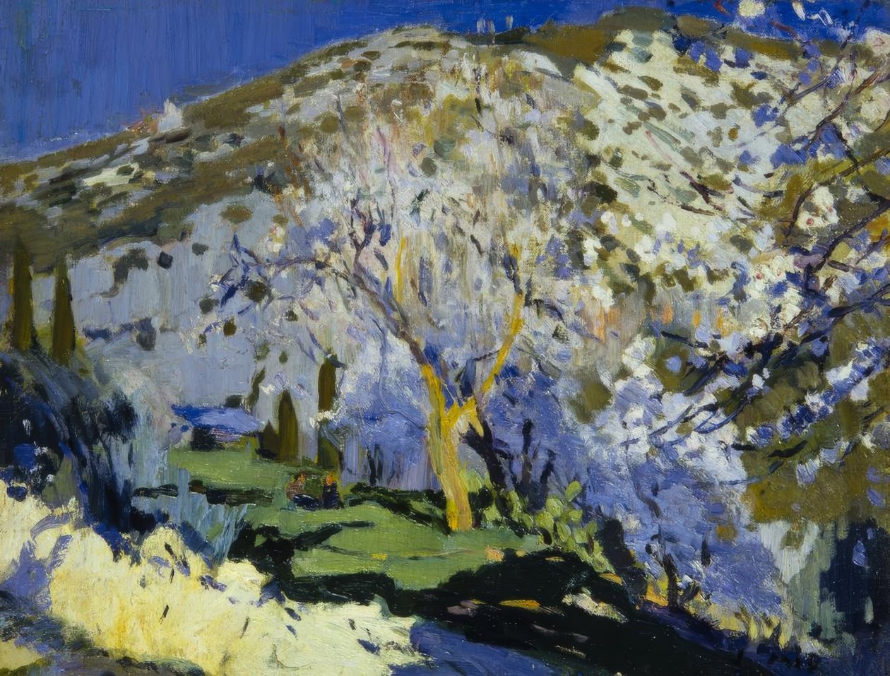 Landschap door Joaquim Mir i Trinxet