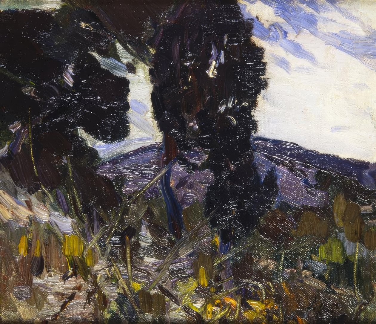 Landschap door Joaquim Mir i Trinxet