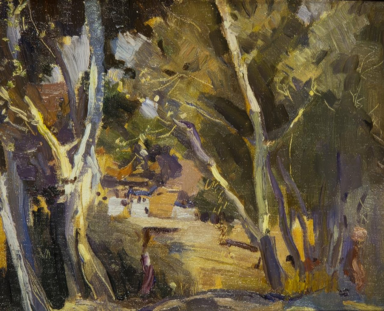 Miravet door Joaquim Mir i Trinxet
