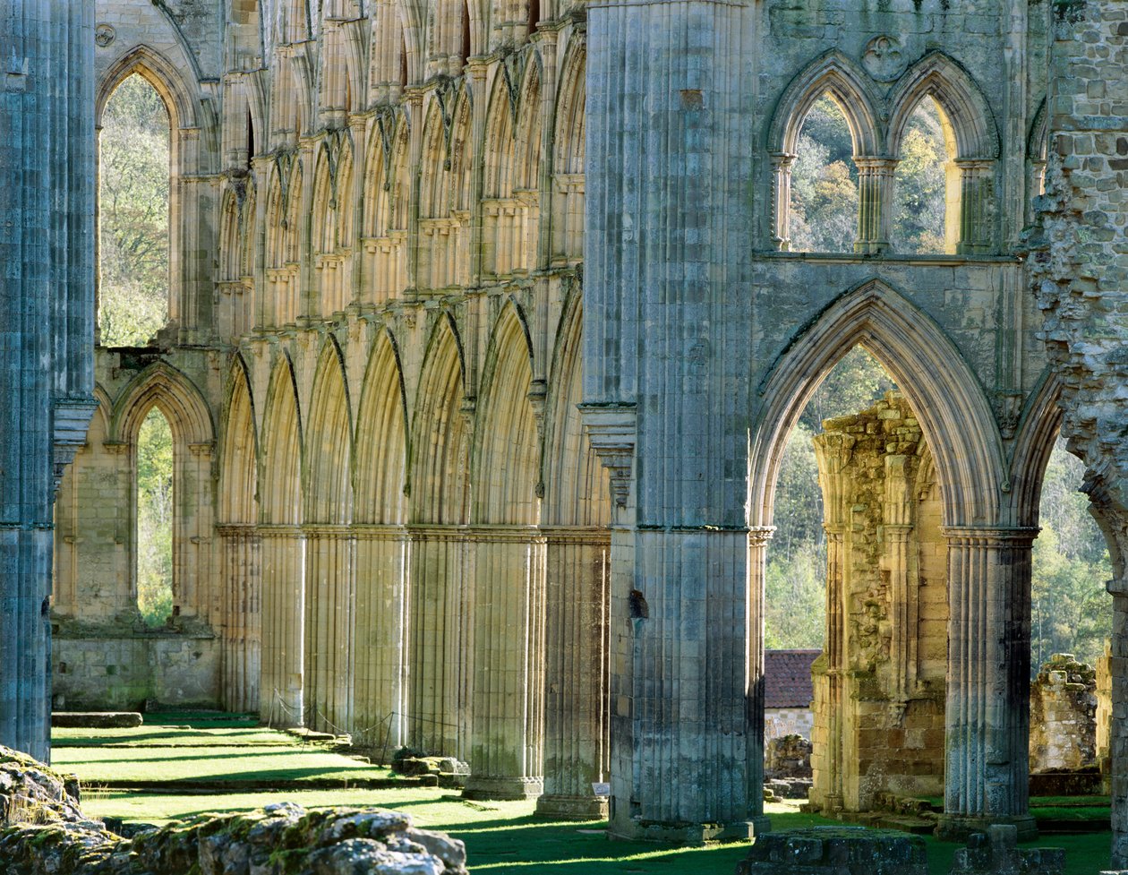 Rievaulx Abbey, ca. 1990-2010 door Joe Cornish