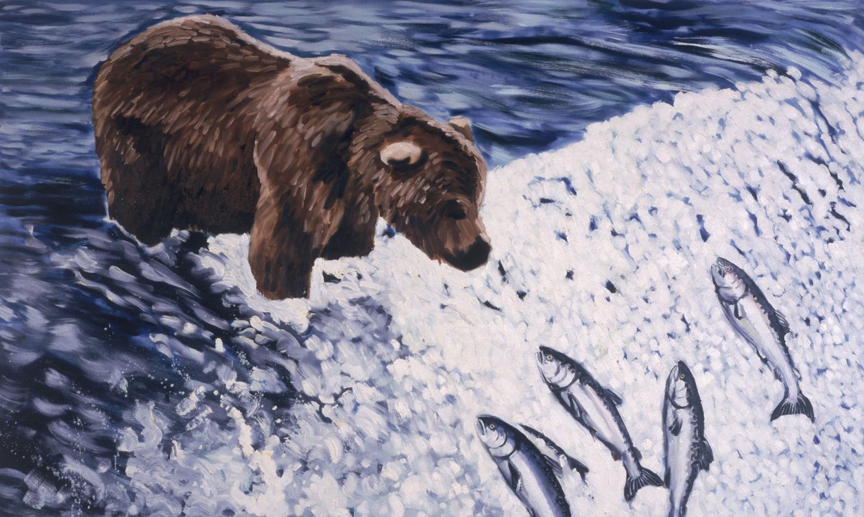 Alaskaanse bruine beer door Joe Heaps Nelson