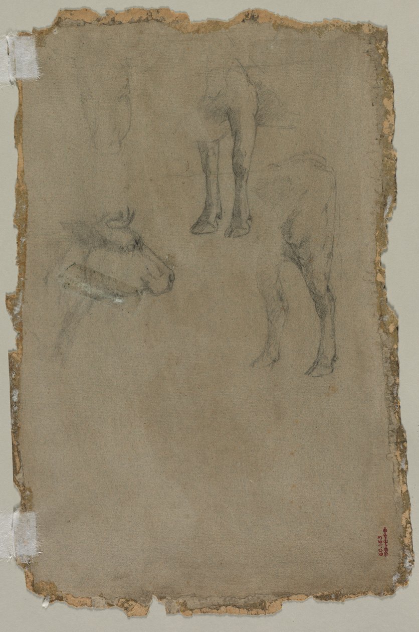 Studies van een stier, 1864 door Johan Barthold Jongkind