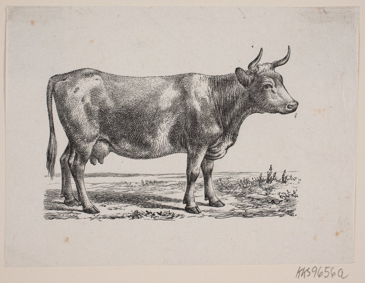Een koe door Johan Frederik Rosenstand