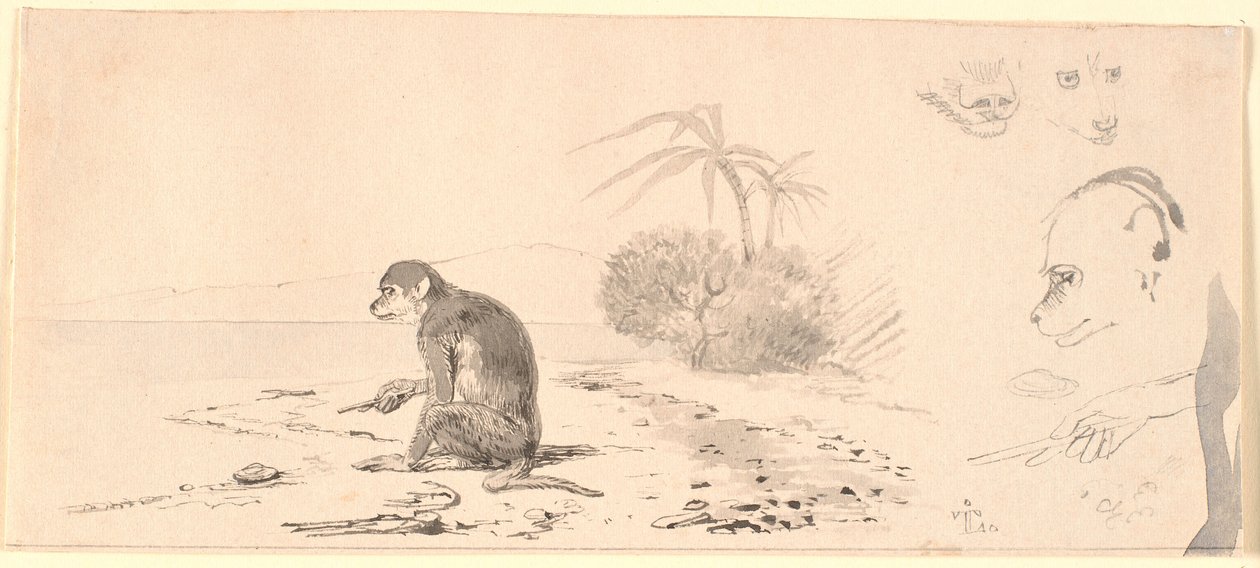 Apen. Rechts studies van apenhoofden enz. door Johan Thomas Lundbye
