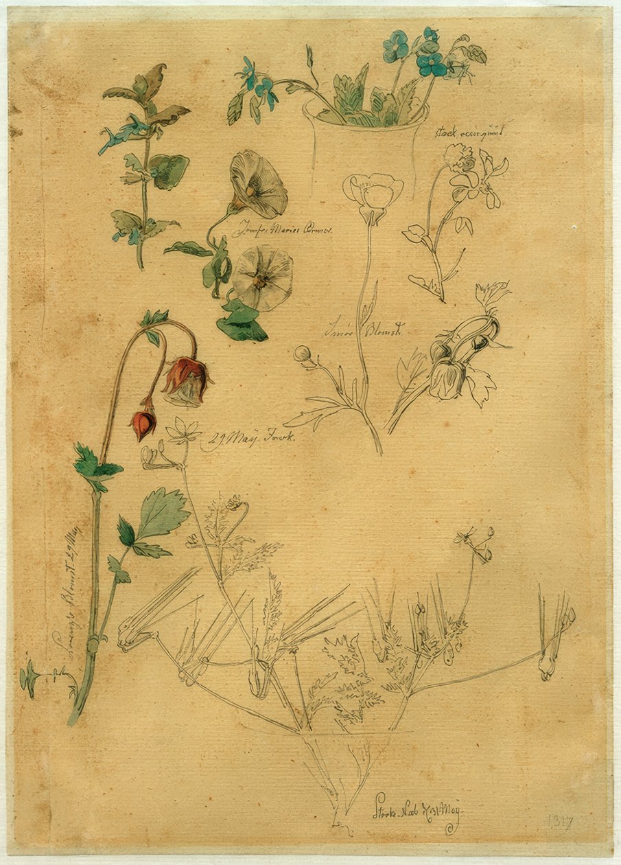 J. Th. Lundbye, plantenstudie door Johan Thomas Lundbye