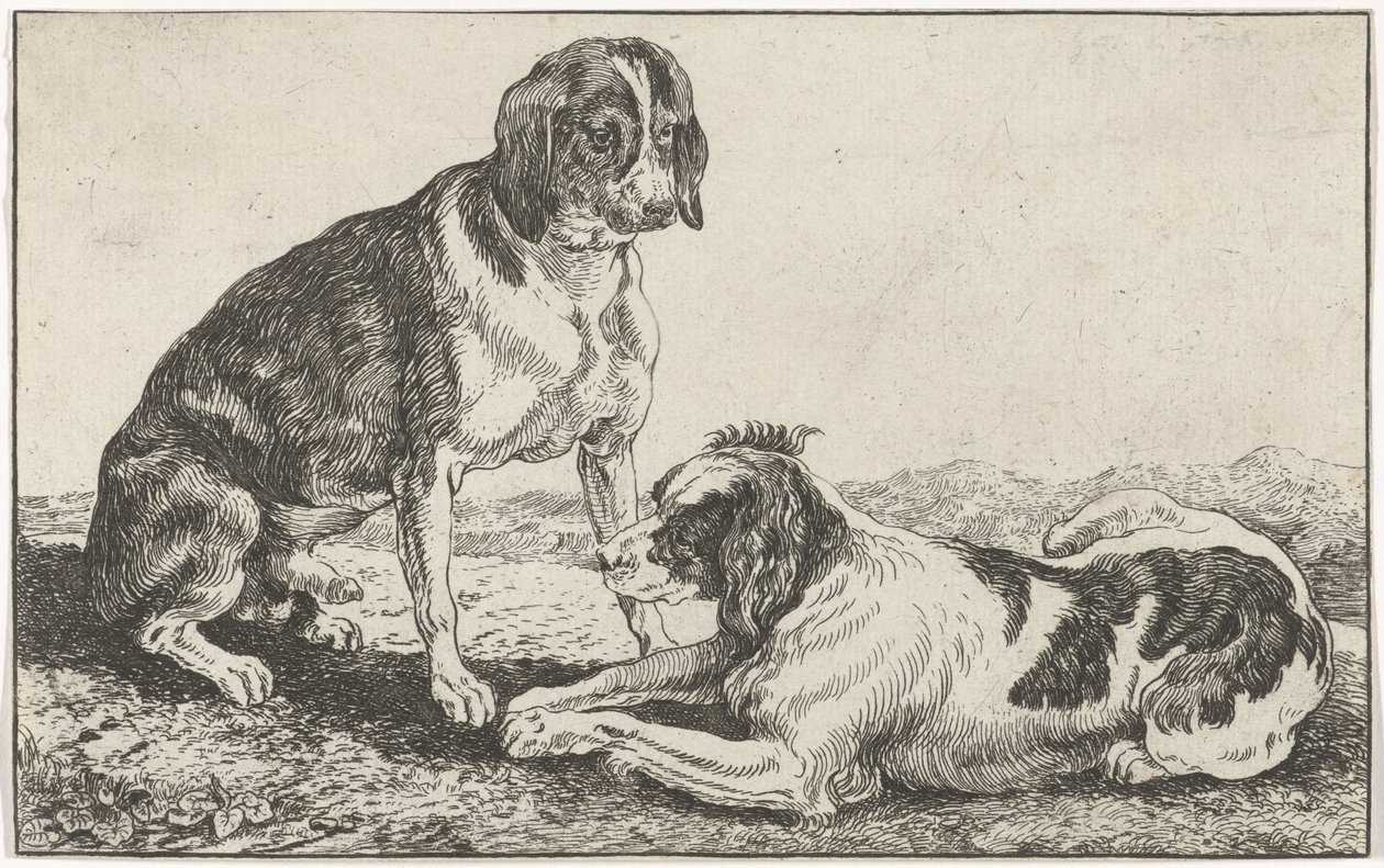 Twee honden door Johan le Ducq
