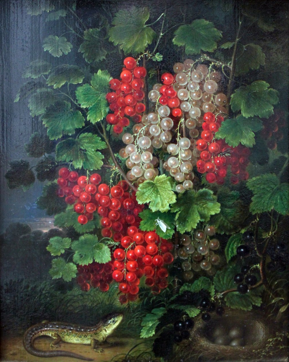 Rode bessen door Johann Adam Schlesinger