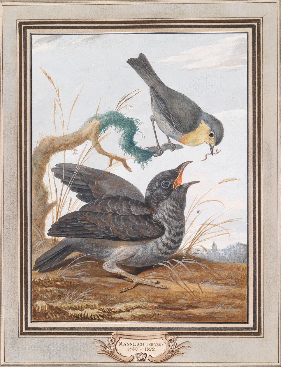 Een koekoek wordt gevoerd door een roodborstje door Johann Christian von Mannlich