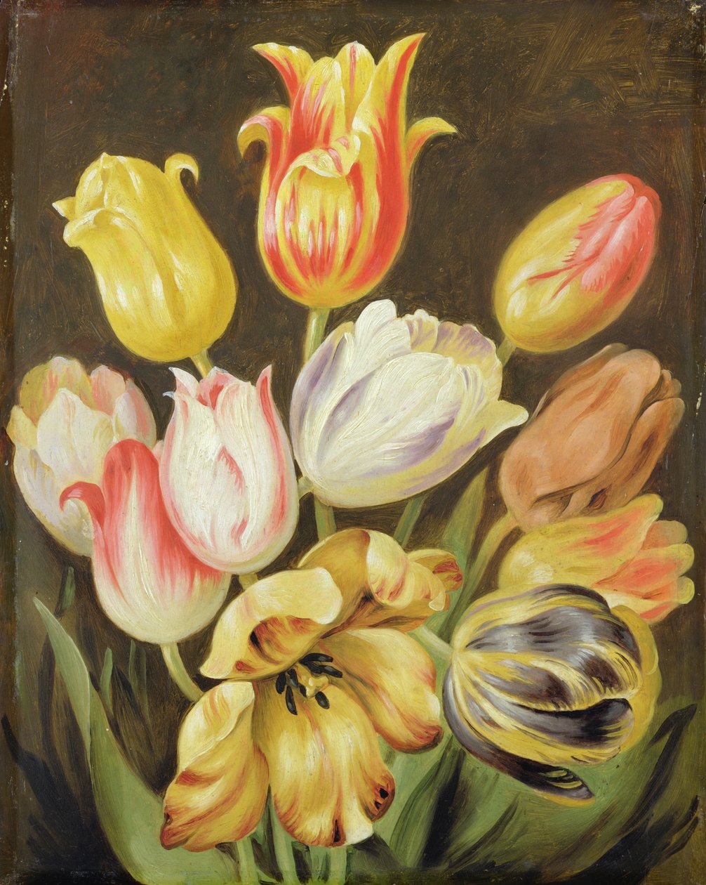 Bloemenstudie door Johann Friedrich August Tischbein