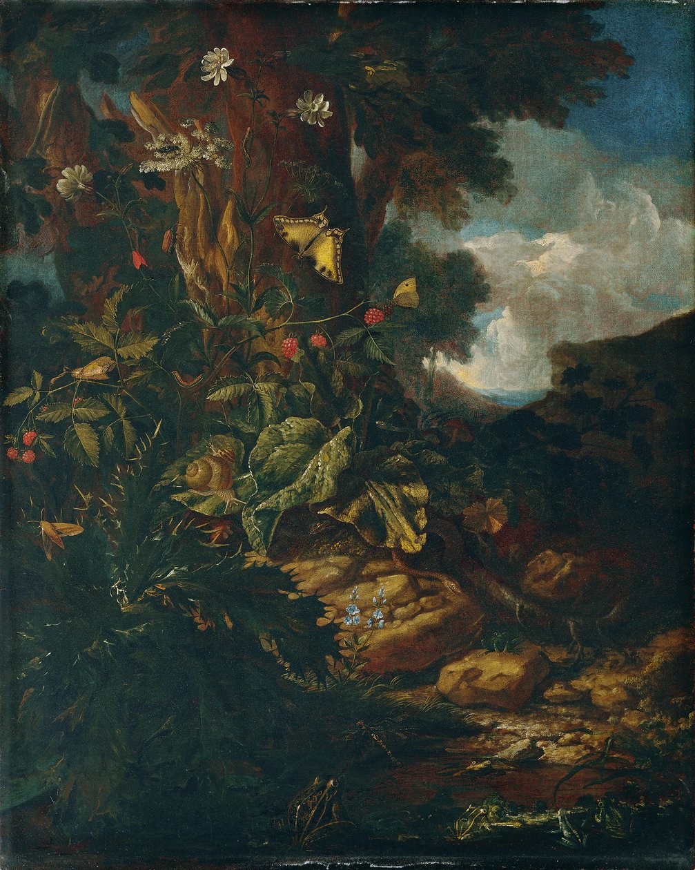 Landschap met reptielen en insecten (II) door Johann Adalbert Angermayer