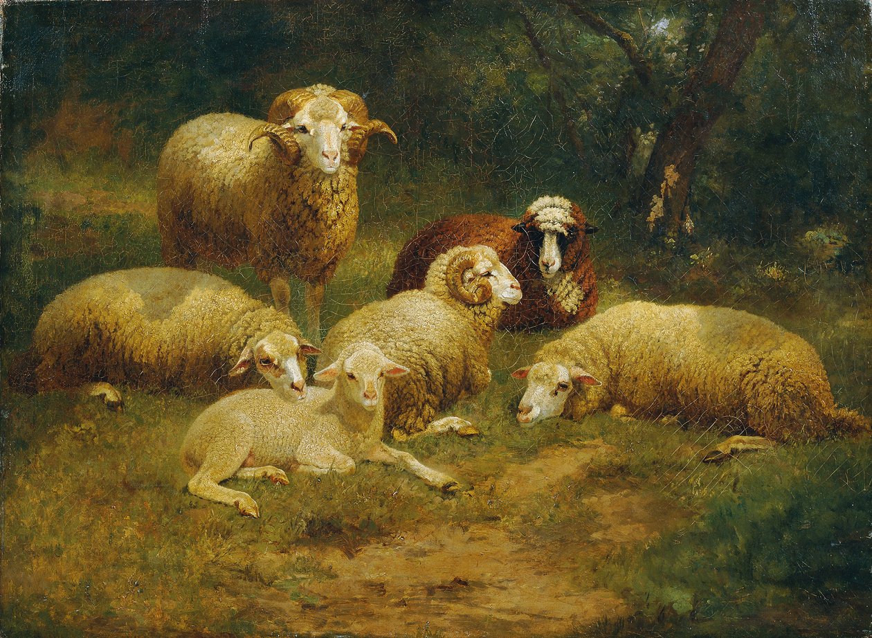Schapen door Johann Baptist Hofner