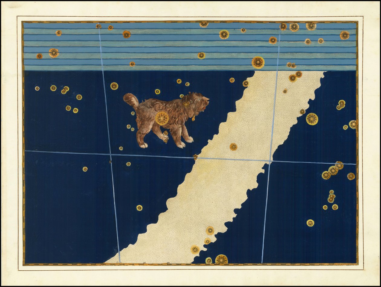 Johann Bayer, Canis Minor door Johann Bayer