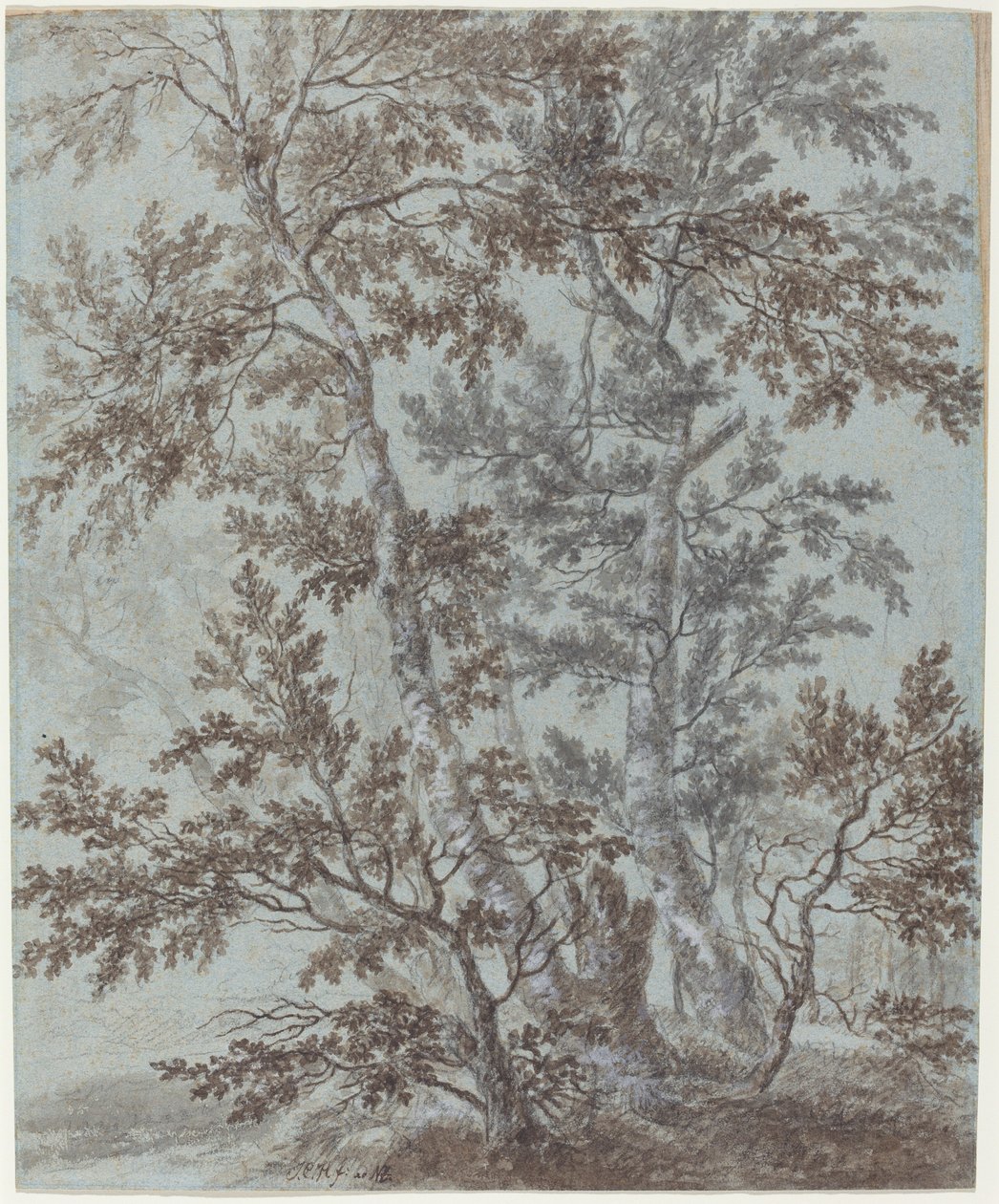 Een Groep Berkenbomen door Johann Caspar Huber