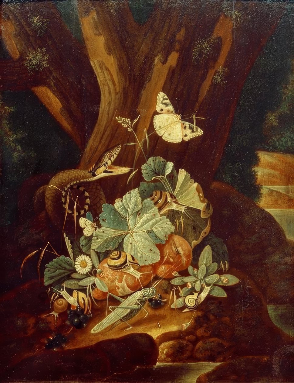 Insecten, slakken en slang door Johann Falch