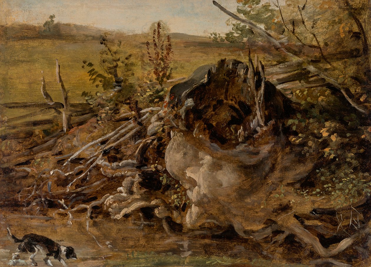 Rotte boomstronk en jachthond door Johann Georg von Dillis