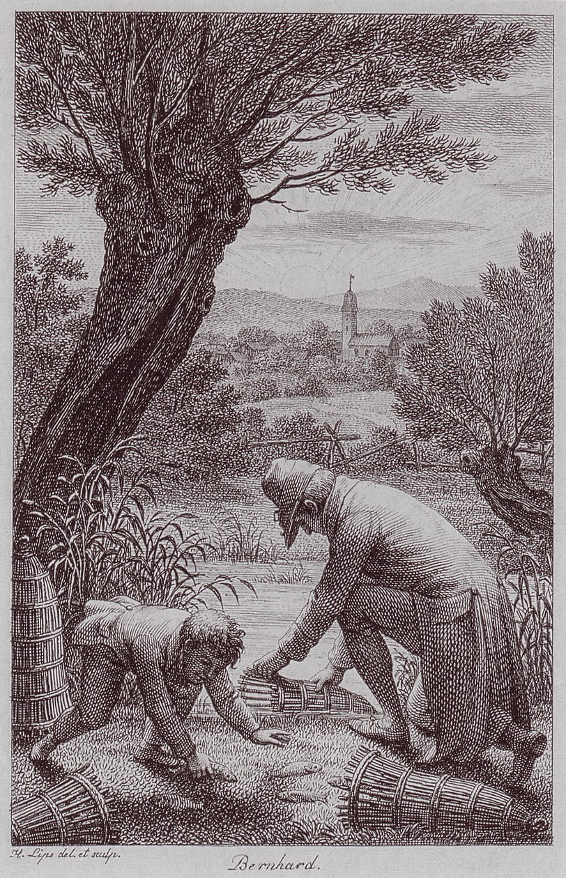BernhardJHLipsi door Johann Heinrich Lips