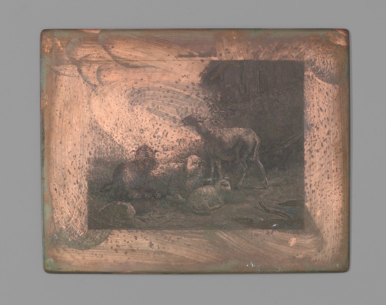 Vier schapen door Johann Heinrich Maria Hubert Rennefeld (signed by artist)