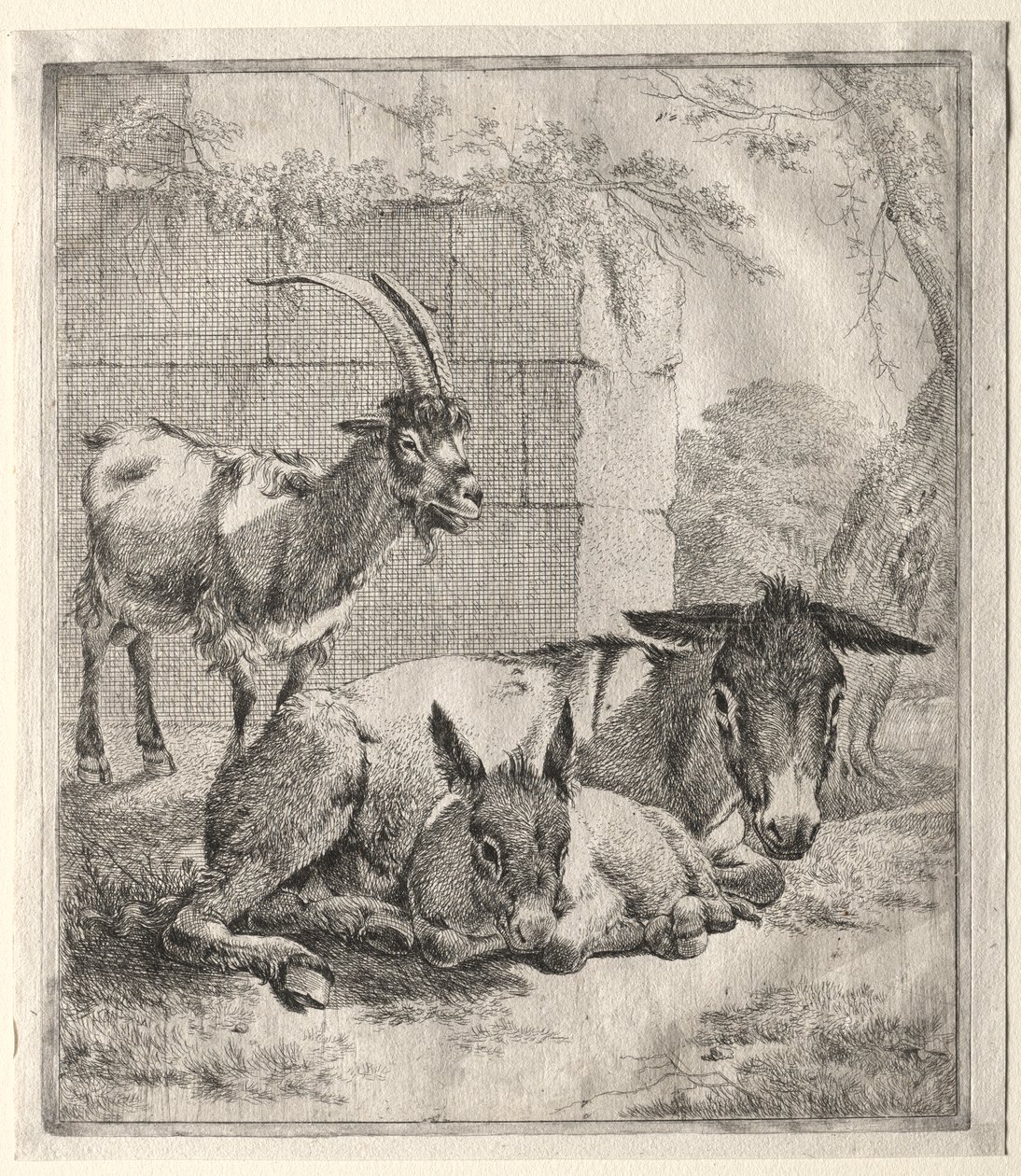 Geit en ezels door Johann Heinrich Roos