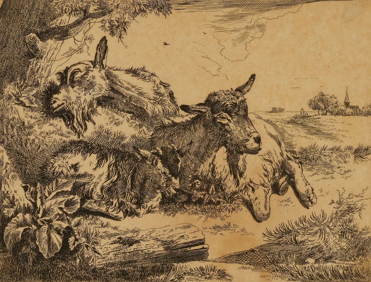 Twee geiten en een kind door Johann Heinrich Roos