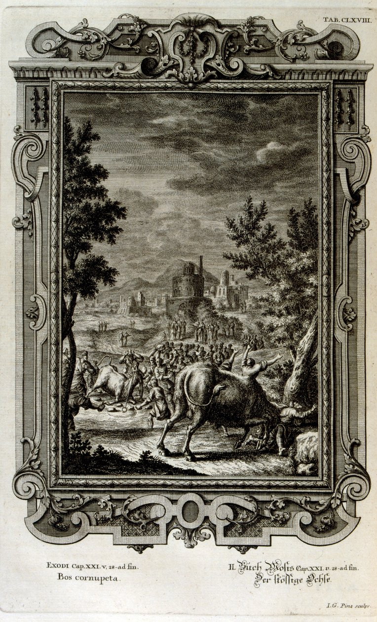 Het offeren van wilde stieren door Johann Jakob Scheuchzer