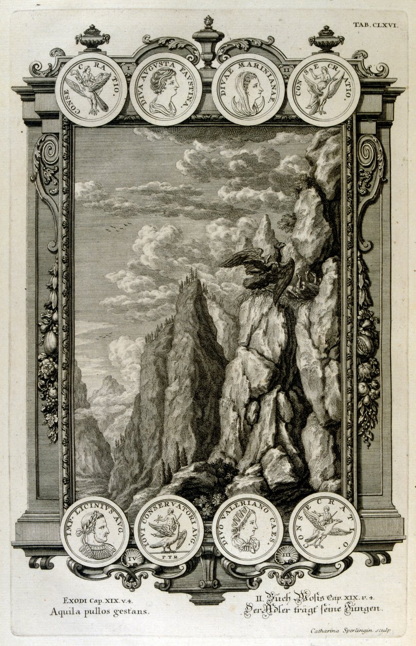 Zeus gesymboliseerd als een adelaar door Johann Jakob Scheuchzer