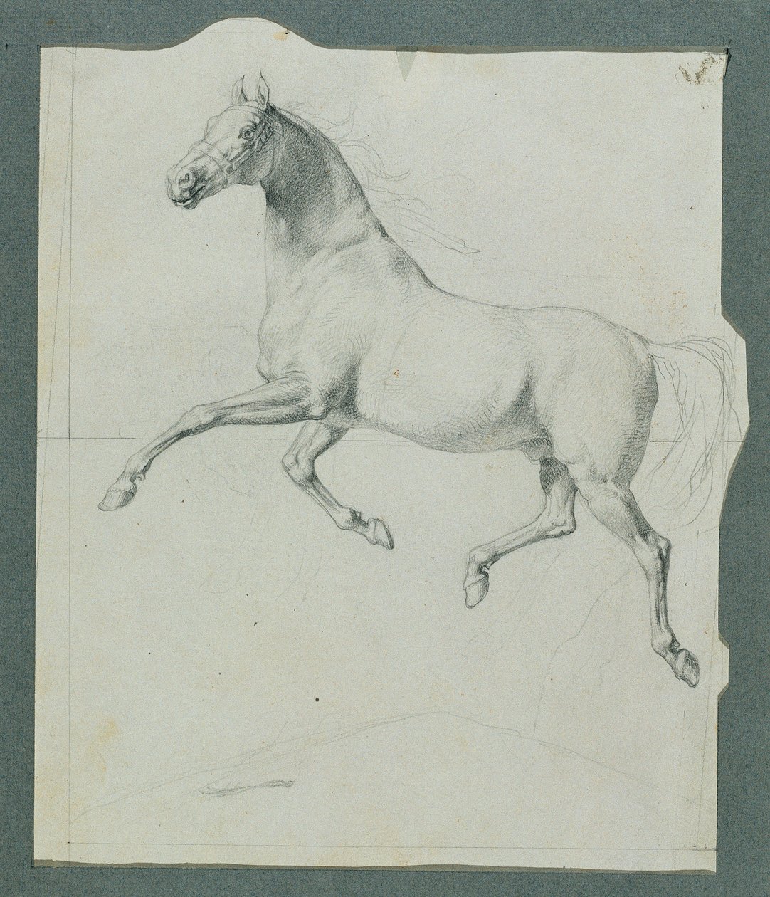 Paardenstudie voor "Rüdiger en Angelika" door Johann Peter Krafft