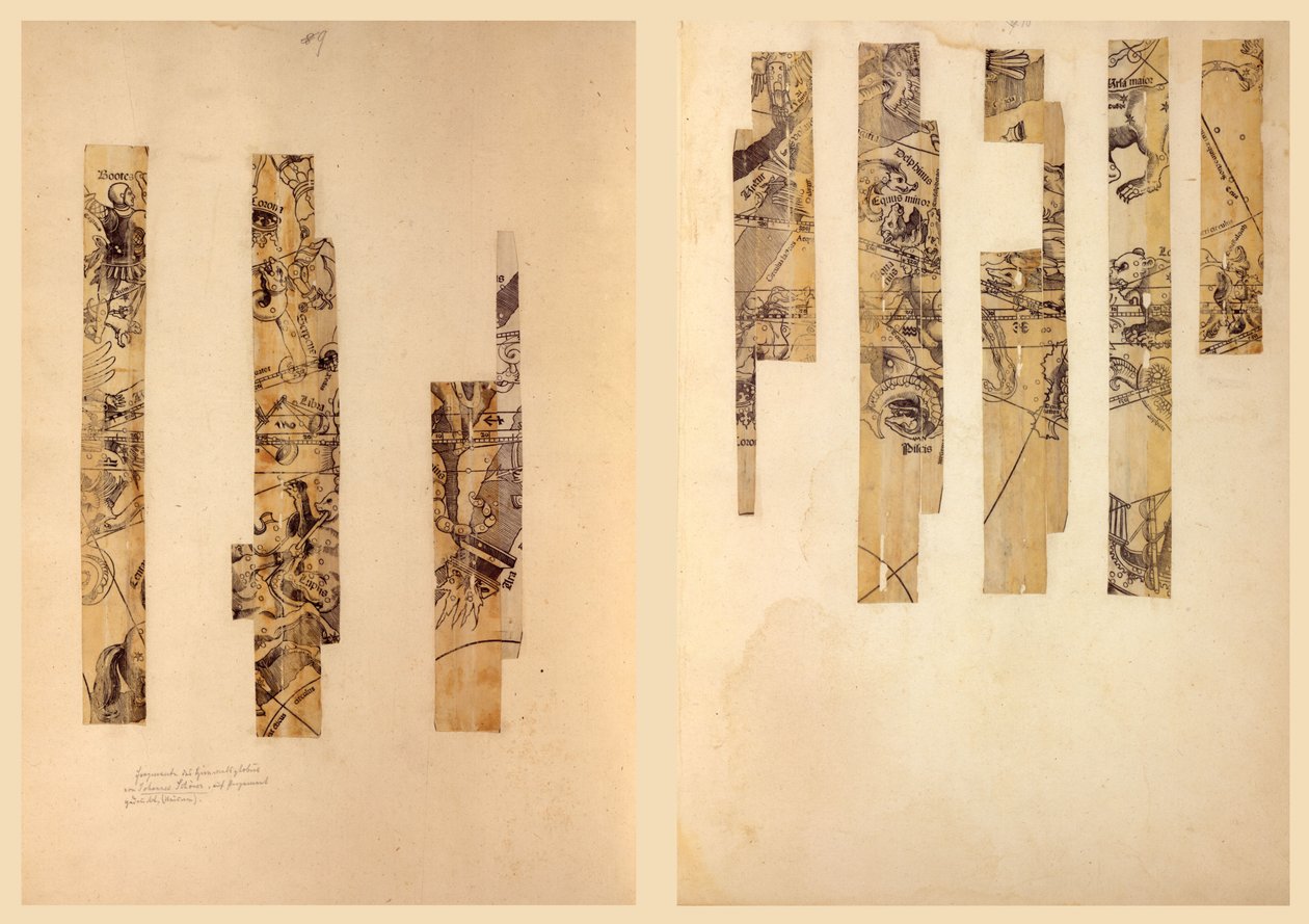 Fragmentarische hemelglobe gores. LOC 2016586440 door Johann Schöner