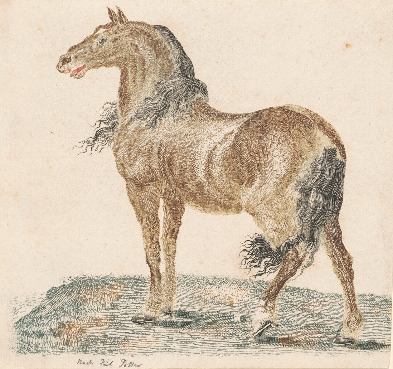Het Hinniken van het Paard door Johann Teyler, after Paulus Potter