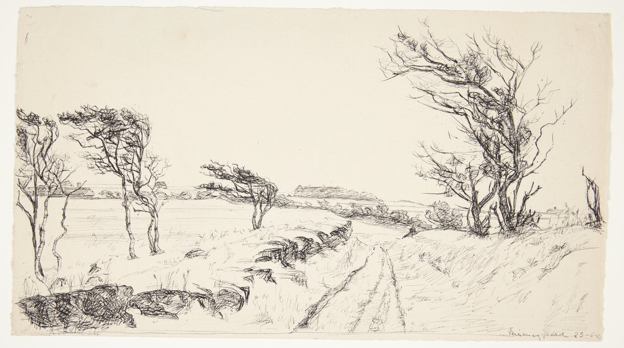 Landschap Breininggaard door Johanne Krebs