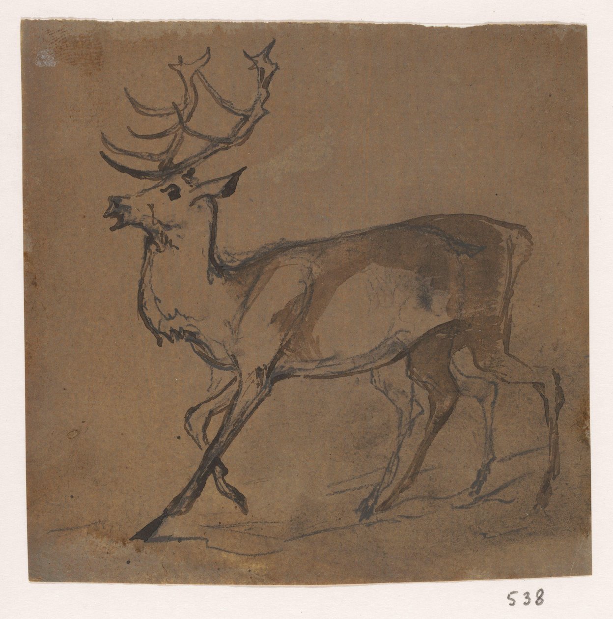 Hert door Johannes Tavenraat