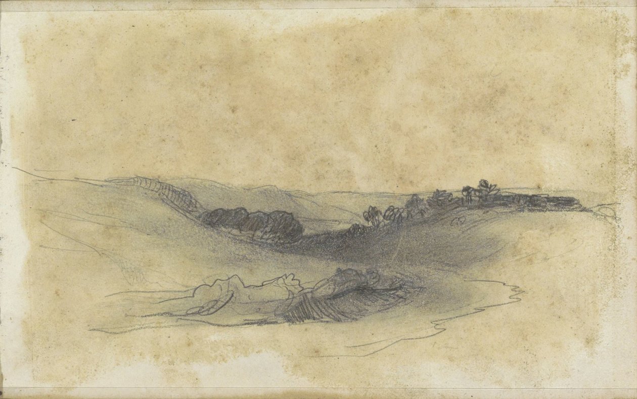 Heuvellandschap met bomen door Johannes Tavenraat