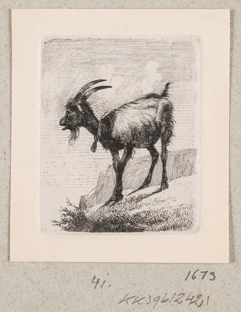 Een geit met bel door Johannes Wilhelm Zillen