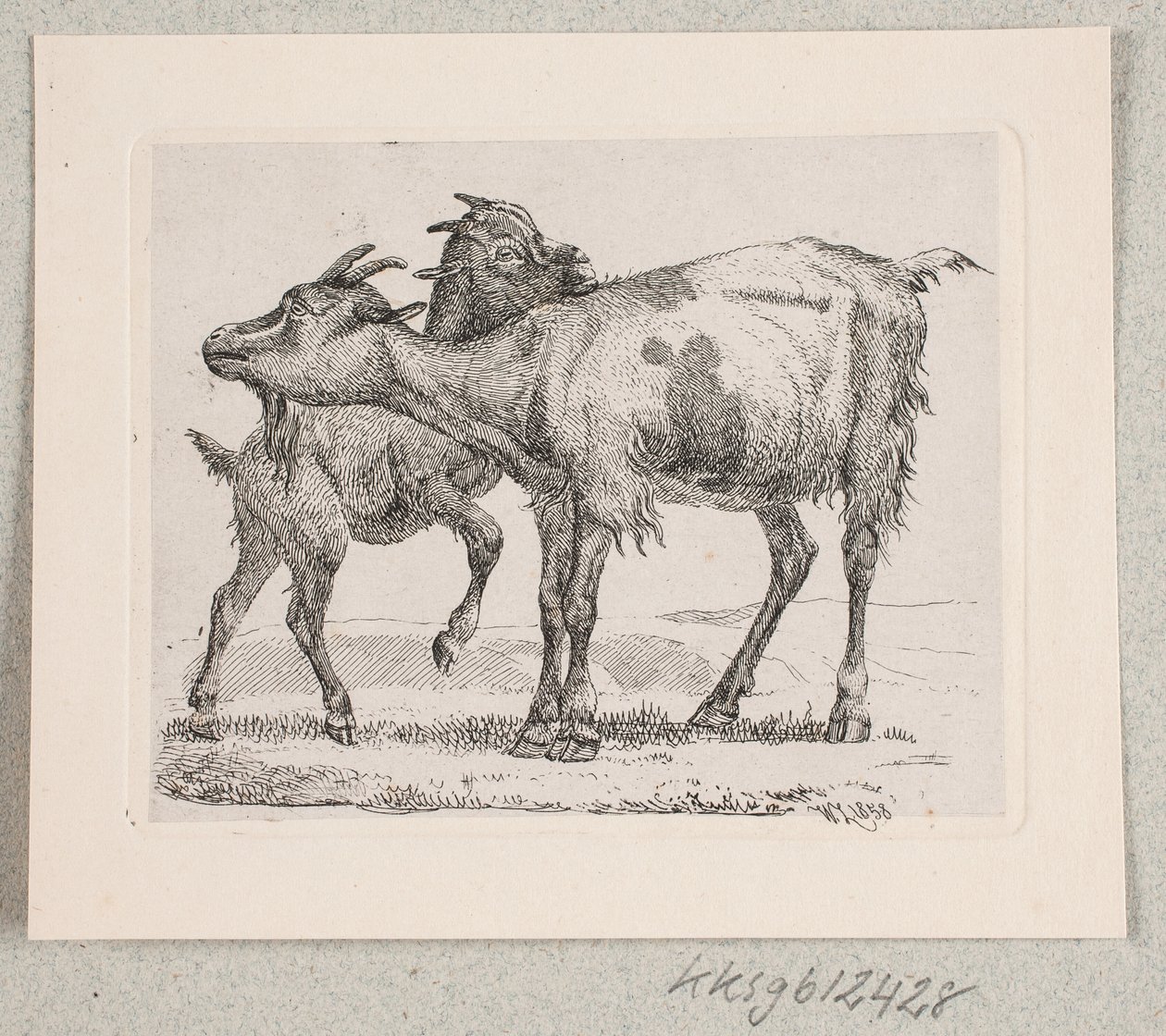 Een geit met haar jong door Johannes Wilhelm Zillen