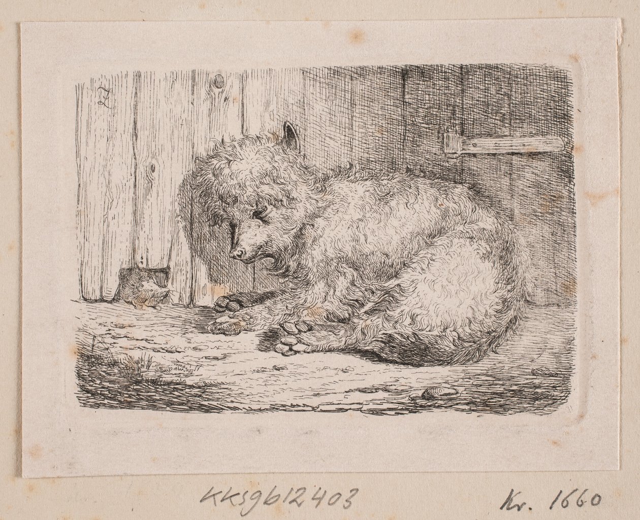 Een langharige hond door Johannes Wilhelm Zillen