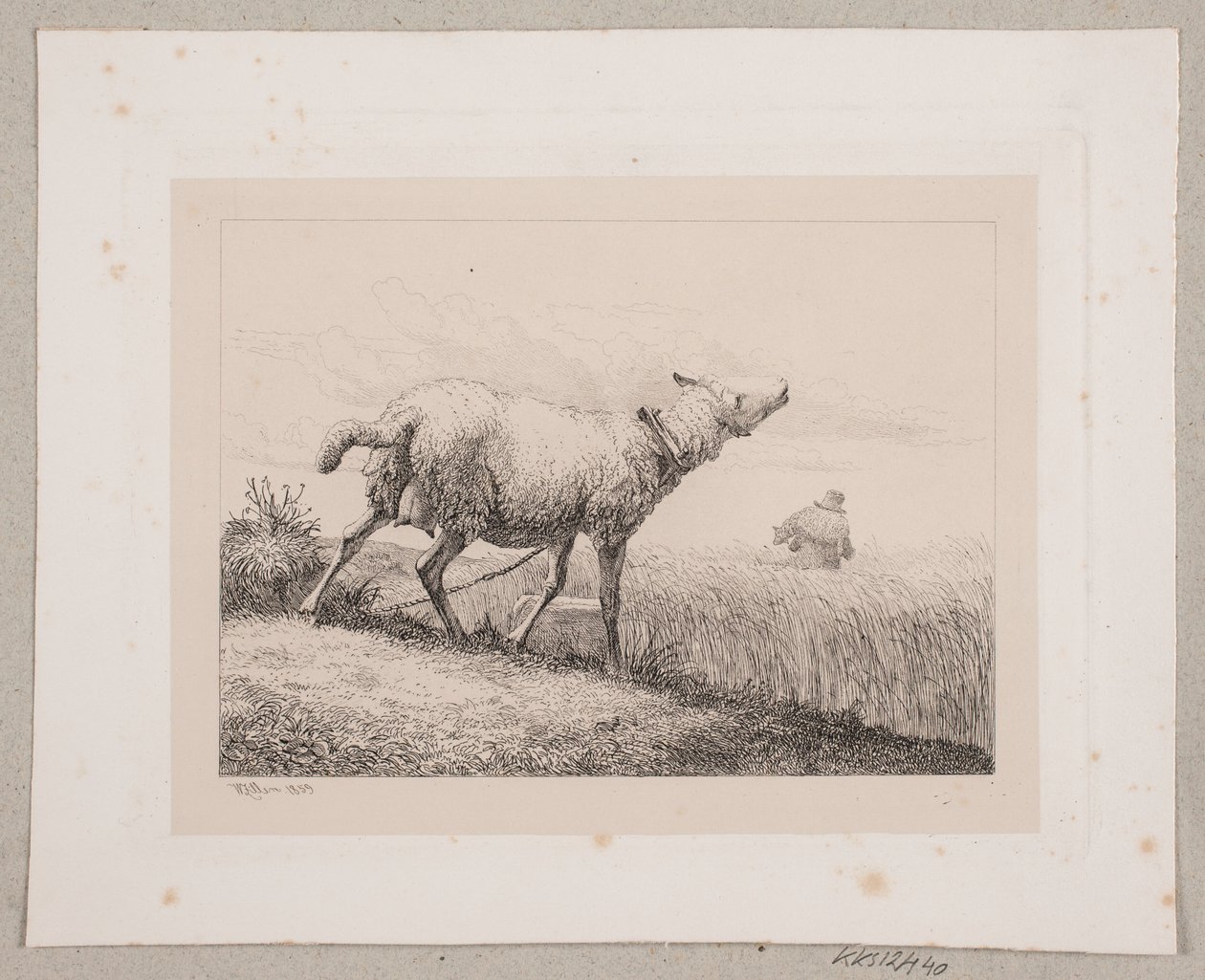 Een blèrend schaap door Johannes Wilhelm Zillen