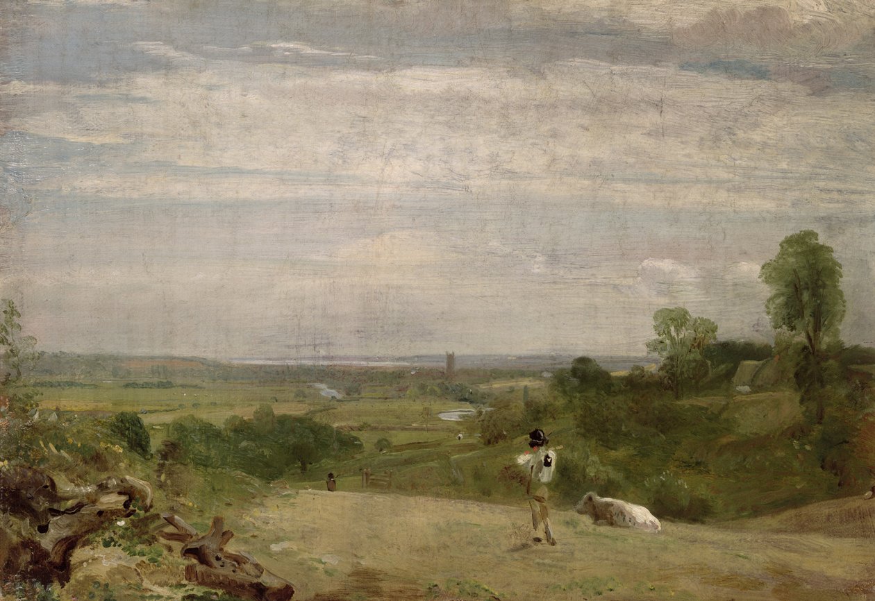 Zomerochtend: Dedham vanaf Langham door John Constable