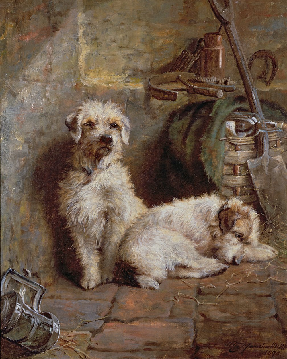 Stalgenoten, 1898 door John Fitz Marshall