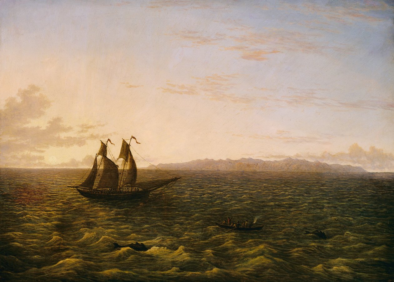 Het Eiland Madeira door John Glover