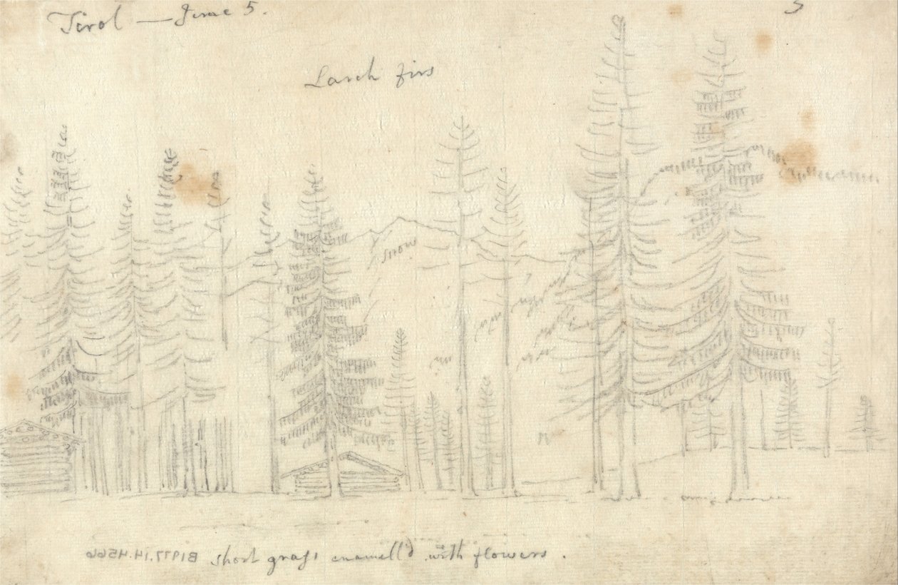In de Tirol door John Robert Cozens